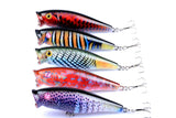 Darrahopens Outdoor > Fishing 5X 7.5cm Popper Poppers Fishing Lure Lures Surface Tackle Fresh Saltwater