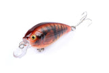 Darrahopens Outdoor > Fishing 5x 7cm Popper Crank Bait Fishing Lure Lures Surface Tackle Saltwater