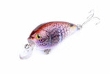 Darrahopens Outdoor > Fishing 5x 7cm Popper Crank Bait Fishing Lure Lures Surface Tackle Saltwater