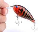 Darrahopens Outdoor > Fishing 5x 7cm Popper Crank Bait Fishing Lure Lures Surface Tackle Saltwater