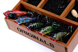 Darrahopens Outdoor > Fishing 5X 8cm Popper Poppers Fishing Lure Lures Surface Tackle Fresh Saltwater