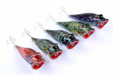 Darrahopens Outdoor > Fishing 5X 8cm Popper Poppers Fishing Lure Lures Surface Tackle Fresh Saltwater