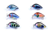 Darrahopens Outdoor > Fishing 6x 3cm Popper Crank Bait Fishing Lure Lures Surface Tackle Saltwater