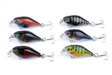 Darrahopens Outdoor > Fishing 6x 4.3cm Popper Crank Bait Fishing Lure Lures Surface Tackle Saltwater