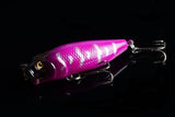 Darrahopens Outdoor > Fishing 6X 6.5cm Popper Poppers Fishing Lure Lures Surface Tackle Fresh Saltwater
