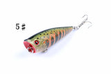 Darrahopens Outdoor > Fishing 6X 6cm Popper Poppers Fishing Lure Lures Surface Tackle Fresh Saltwater