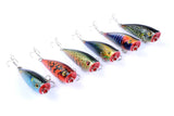 Darrahopens Outdoor > Fishing 6X 6cm Popper Poppers Fishing Lure Lures Surface Tackle Fresh Saltwater