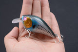 Darrahopens Outdoor > Fishing 6x 8cm Popper Crank Bait Fishing Lure Lures Surface Tackle Saltwater