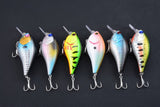 Darrahopens Outdoor > Fishing 6x 8cm Popper Crank Bait Fishing Lure Lures Surface Tackle Saltwater