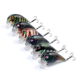 Darrahopens Outdoor > Fishing 6x Popper Poppers 5cm Fishing Lure Lures Surface Tackle Fresh Saltwater