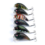 Darrahopens Outdoor > Fishing 6x Popper Poppers 5cm Fishing Lure Lures Surface Tackle Fresh Saltwater