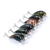 Darrahopens Outdoor > Fishing 6x Popper Poppers 5cm Fishing Lure Lures Surface Tackle Fresh Saltwater