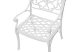 Darrahopens Outdoor MARCO ALUMINIUM CHAIR  (one pair)