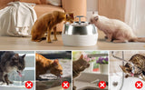 Darrahopens Pet Care 3L Automatic Electric Pet Water Fountain Dog Cat Stainless Steel Feeder Bowl Dispenser Black