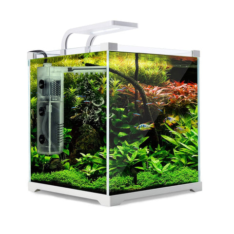 darrahopens Pet Care > Aquarium Dynamic Power  Aquarium Fish Tank 16L Starfire Glass