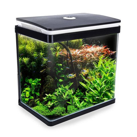 darrahopens Pet Care > Aquarium Dynamic Power Aquarium Fish Tank 30L Curved Glass RGB LED