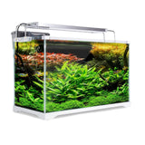 darrahopens Pet Care > Aquarium Dynamic Power Aquarium Fish Tank 39L Starfire Glass