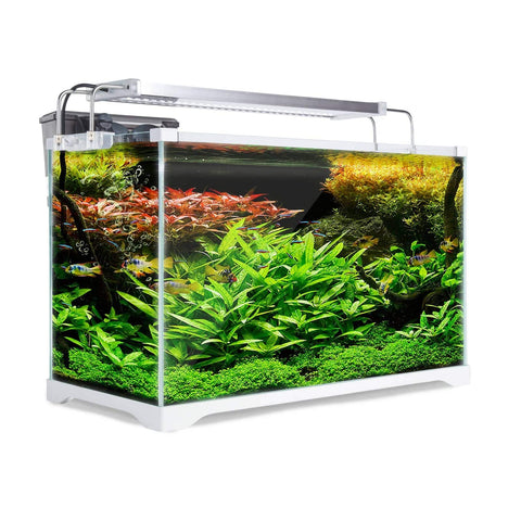 darrahopens Pet Care > Aquarium Dynamic Power Aquarium Fish Tank 39L Starfire Glass
