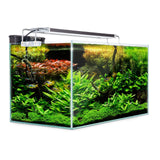 darrahopens Pet Care > Aquarium Dynamic Power Aquarium Fish Tank 70L Starfire Glass