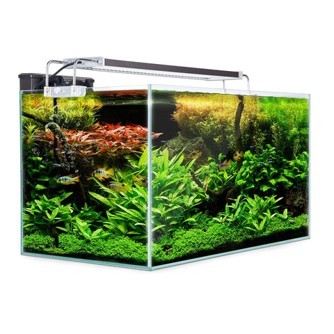 darrahopens Pet Care > Aquarium Dynamic Power Aquarium Fish Tank 70L Starfire Glass