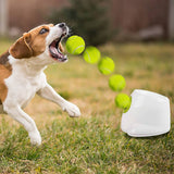 darrahopens Pet Care > Cleaning & Maintenance Dog Ball Launcher Thrower Automatic Tennis Fetch Throwing Machine 3 Balls