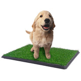 Darrahopens Pet Care > Cleaning & Maintenance XL Indoor Dog Puppy Toilet Grass Training Mat Loo Pad Potty W 3 Grass