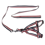 Darrahopens Pet Care > Dog Supplies 2 X Large Pet Dog Harness Collar leash lead