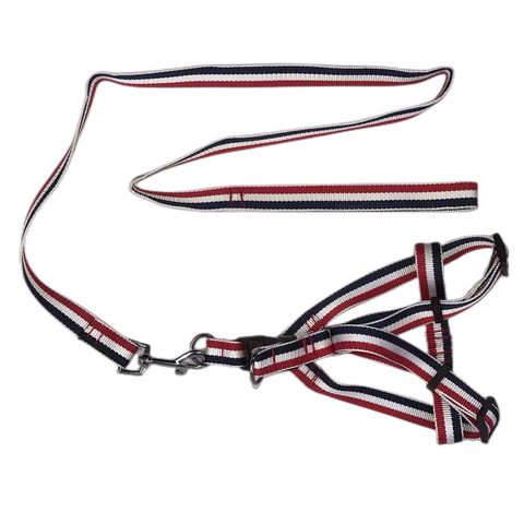 Darrahopens Pet Care > Dog Supplies 2 X Large Pet Dog Harness Collar leash lead