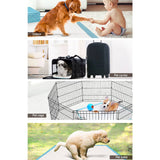 darrahopens Pet Care > Dog Supplies 200pcs Puppy Dog Pet Training Pads Cat Toilet 60 x 60cm Super Absorbent Indoor Disposable