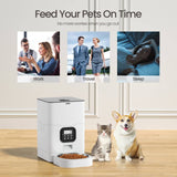 Darrahopens Pet Care > Dog Supplies 6L Automatic Digital Pet Dog Cat Feeder Food Bowl Dispenser