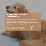 Darrahopens Pet Care > Dog Supplies Banhamsisun M Blue Pet Dog Cooling Mat Non-Slip Travel Roll Up Cool Pad Bed Outdoor