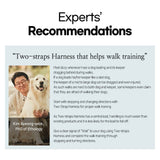 Darrahopens Pet Care > Dog Supplies Banhamsisun M Dog Double-Lined Straps Harness and Lead Set Leash Adjustable No Pull