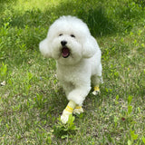 Darrahopens Pet Care > Dog Supplies Daeng Daeng Shoes 28pc M Yellow Dog Shoes Waterproof Disposable Boots Anti-Slip Socks