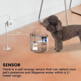 Darrahopens Pet Care > Dog Supplies Floofi Pet Water Fountain Dispenser 1.8L with Sensor FI-WD-105-ZM