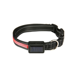 Darrahopens Pet Care > Dog Supplies Floofi Solar USB Rechargable LED Dog Collar (L Red)