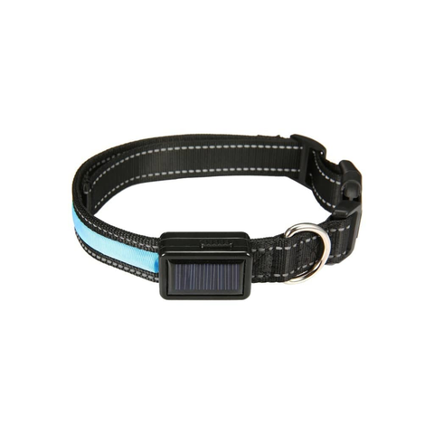 Darrahopens Pet Care > Dog Supplies Floofi Solar USB Rechargable LED Dog Collar (M Blue) - PT-DC-136-QQQ