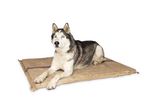 Darrahopens Pet Care > Dog Supplies Jumbo Hessian Pet Dog Puppy Bed Mat Pad House Kennel Cushion With Foam 110 x 78 cm