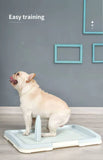 Darrahopens Pet Care > Dog Supplies Large Portable Dog Potty Training Tray Pet Puppy Toilet Trays Loo Pad Mat Blue