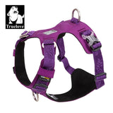darrahopens Pet Care > Dog Supplies Lightweight Harness Purple XS