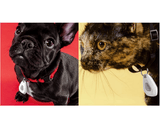 darrahopens Pet Care > Dog Supplies Mitey Tick Off For Pets Electronic Tick Repeller