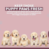 Darrahopens Pet Care > Dog Supplies PS KOREA Wine Dog Pet Potty Tray Training Toilet Raised Walls T1
