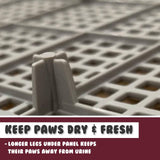Darrahopens Pet Care > Dog Supplies PS KOREA Wine Dog Pet Potty Tray Training Toilet Raised Walls T1