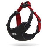 darrahopens Pet Care > Dog Supplies Urban Harness Black/Red M