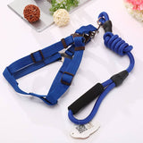 Darrahopens Pet Care > Dog Supplies YES4PETS 2 X Medium Pet Dog Puppy Dog Harness Collar leash lead