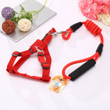 Darrahopens Pet Care > Dog Supplies YES4PETS 2 X Medium Pet Dog Puppy Dog Harness Collar leash lead