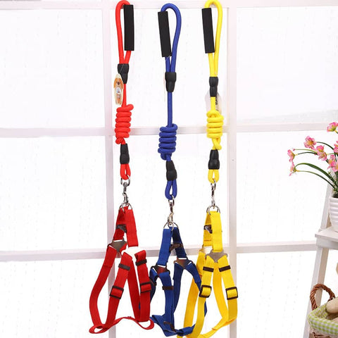 Darrahopens Pet Care > Dog Supplies YES4PETS 2 X Medium Pet Dog Puppy Dog Harness Collar leash lead