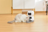 Darrahopens Pet Care > Dog Supplies YES4PETS 3.5L Visible Automatic Digital Pet Dog Cat Feeder Food Bowl Dispenser