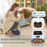 Darrahopens Pet Care > Dog Supplies YES4PETS 3.5L Visible Automatic Digital Pet Dog Cat Feeder Food Bowl Dispenser