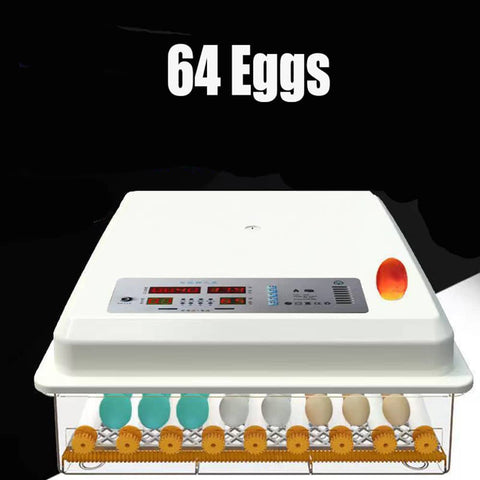 Darrahopens Pet Care > Farm Supplies 64 Egg Incubator Fully Automatic Digital Thermostat Chicken Eggs Poultry