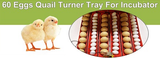 Darrahopens Pet Care > Farm Supplies Electric 60 Egg Incubator + Accessories Hatching Eggs Chicken Quail Duck